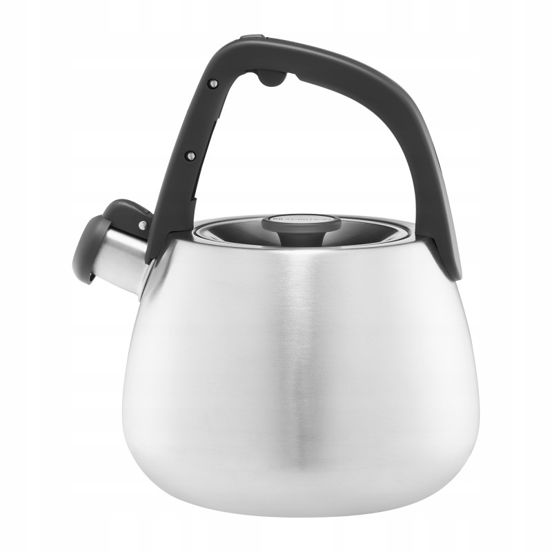 Czajnik tradycyjny stalowy Ambition 23 l srebrny